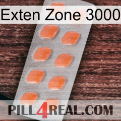 Exten Zone 3000 26
